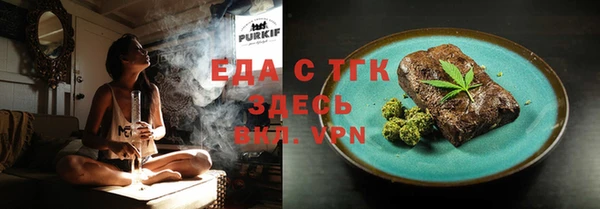 индика Дмитровск