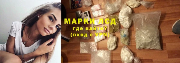 индика Дмитровск
