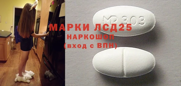 прущие грибы Дмитриев