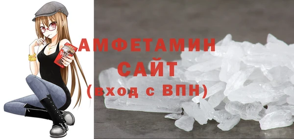 индика Дмитровск