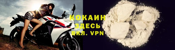 индика Дмитровск