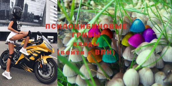 прущие грибы Дмитриев