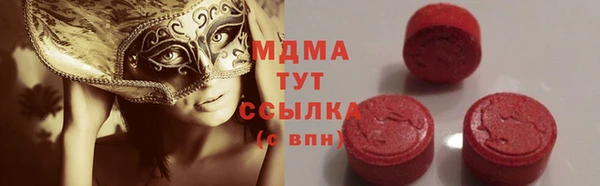 прущие грибы Дмитриев