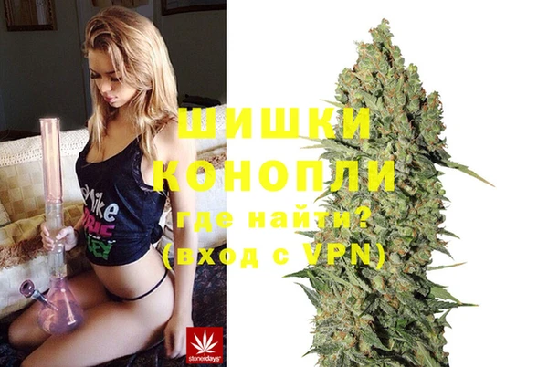 прущие грибы Дмитриев