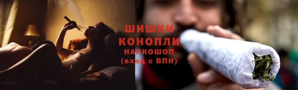 прущие грибы Дмитриев