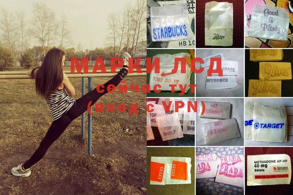 индика Дмитровск