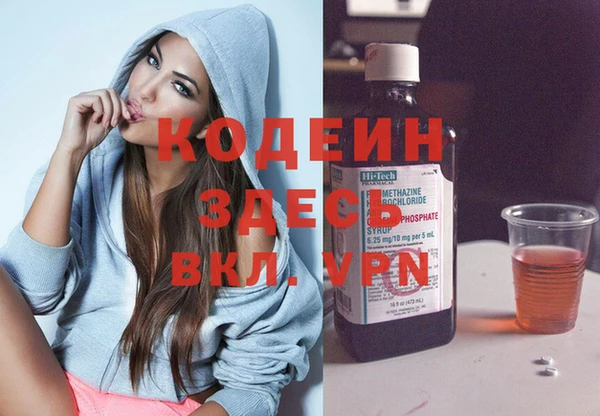 прущие грибы Дмитриев