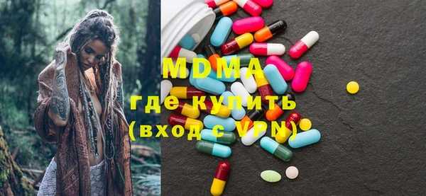 индика Дмитровск