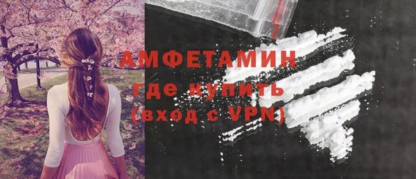 индика Дмитровск