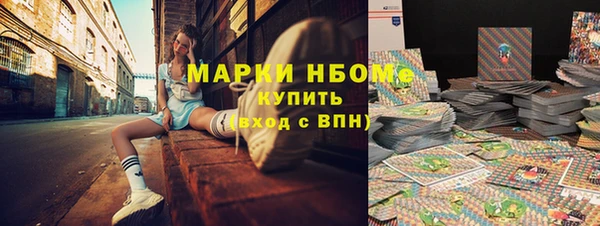 прущие грибы Дмитриев