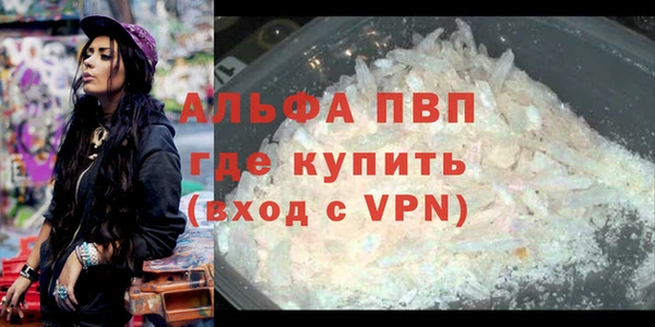 амф Дмитров