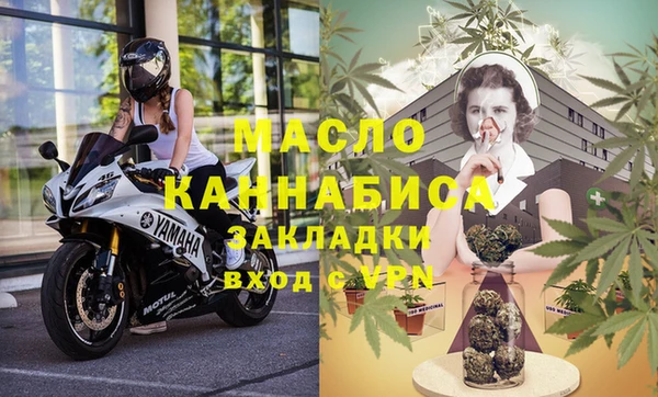 индика Дмитровск