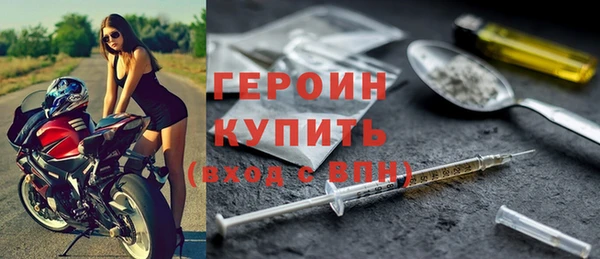 индика Дмитровск