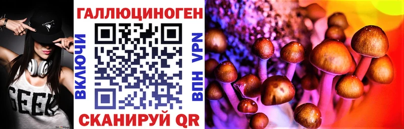 Псилоцибиновые грибы прущие грибы Холм